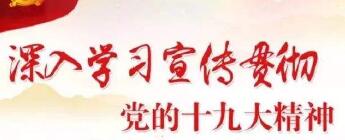 以十九大精神為指引 奮力書寫新時(shí)代黨建工作新篇章